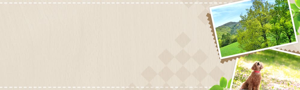 登山がきっかけで女性とお付き合いした話